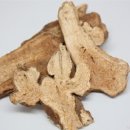 삼동한의원 이미지