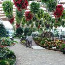 가평 베고니아새정원에서 이미지