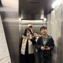 리틀페어리영어교습소 | 시드니 멜버른 여행기 07 | 멜버른 투어는 줌줌투어 : 퍼핑빌리기차+필립아일랜드 투어