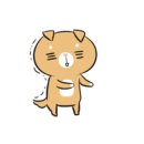 대진셀프세차장 이미지