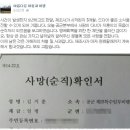 한효주 남동생 사건 진행상황 이미지