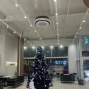 복합터미널 | 루트커피 대전복합터미널점 리얼 후기 | 대전 크리스마스 트리 카페