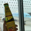 귤림하우스 | 2025 제주 가족 여행 01🐳