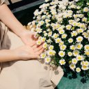 학하커피;학하민박