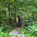지에스(GS)25 진접역점 | 포천 여름 가볼만한곳 경기도 광릉 포천국립수목원 둘레길 숲길