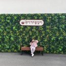 원더키즈풀빌라 | 홍천 원더키즈 풀빌라 솔직후기