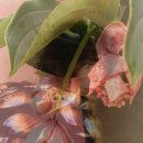 일산동 일산근린공원-1 이미지