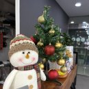 백석당구클럽 이미지