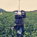정취한가 민박 | [제주] 보름살기 숙소 : 검색의 긴 여정