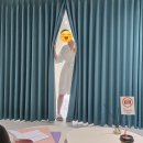 지정03 | [w.03] 드레스 투어 후기 및 당일 지정 혜택 공유 (마리에드오늘 vs 제이스포사)