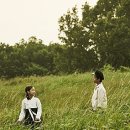 정콘택트 Daum카페