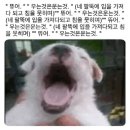 펭귄유통 | 펭귄을 양념하지 마시오