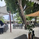 Js MED(제이에스 메드) | [몰디브 신혼여행 -쿠다빌링길리🏝4일차] Med(메드) 런치/메인 풀 산책/쿠다 아이스크림🩵