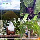 무지개 서는 마을 | 필리핀 보홀 여행 놀다보홀 육상투어 로복강 선상런치 안경원숭이 초콜릿힐 데이투어