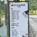 꼬꼬마땡초김밥 이미지