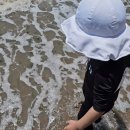 궁평항 주차장 공중화장실 이미지