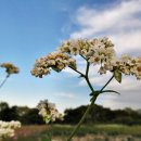 선학체육관 이미지