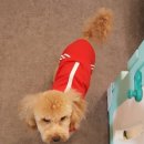 우정크린 이미지