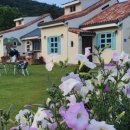 세리민박 이미지