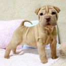 컴퓨터플러스 이미지