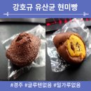유산균현미빵
