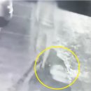 모텔 승마 이미지