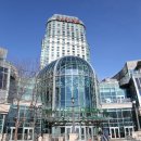 수파의 블랙잭 여정 (도입기 #3) 이미지