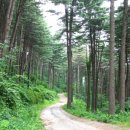 육림축산 이미지