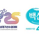 뉴서울카매니아 이미지
