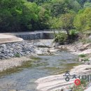 삼거리천 이미지