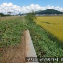 양사면-4 이미지