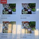 구장길 | 안성 맛집 옛날오리 주물럭 로스 반반 후기