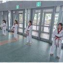 기품태권도 이미지