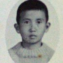태서건축