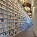 오성농장 | [국내 여행지 추천💚] 여행 고민 끝내주는 똑비투어 국내여행 TOP5 영월 고창 전주 완주 삼척 동해 군위...