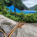 도그파파안 이미지