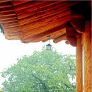 은행나무민박 이미지