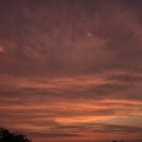 안성천 | 평택 산책하기 좋은 곳 추천, 안성천 뷰가 아름다운 내리문화공원 🌅