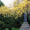 의사김응삼순절비 이미지