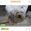 모모아이 이미지