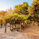 문평공원 이미지