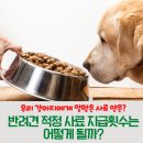 독산유치원 이미지