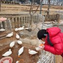 갤러리펫 - 파주시 상지석길 404-3 | 담양 플레이펫 후기, 아이와 가볼 만한 동물원 추천