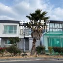 용머리공인중개사사무소 이미지