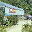 용계농장 네이버블로그