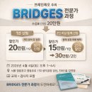 브릿지브레인
