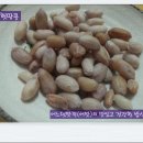 [건강간식4] 사각사각, 고소한 삶은 햇땅콩 이미지