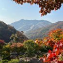 솟을집 한옥스테이 이미지