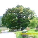 신전2리경로당 티스토리