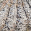 고사농장 이미지